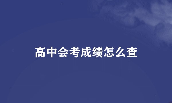 高中会考成绩怎么查