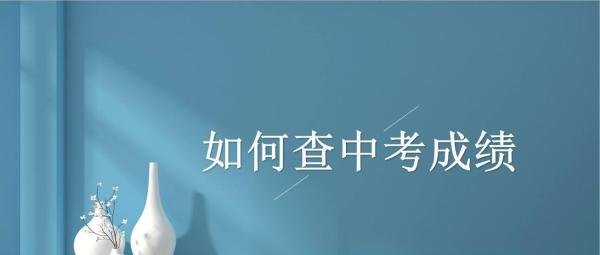 如何查中考成绩2020