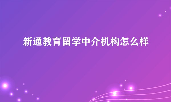 新通教育留学中介机构怎么样