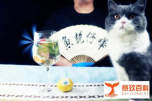心疼！男子3年养死500多条宠物鱼，只为了一句对孩子的承诺