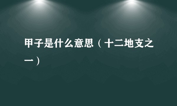 甲子是什么意思（十二地支之一）