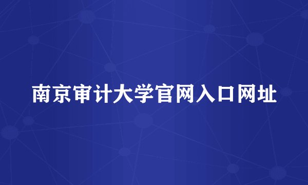 南京审计大学官网入口网址