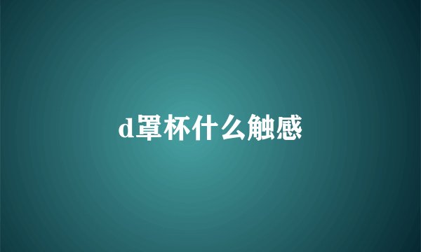 d罩杯什么触感