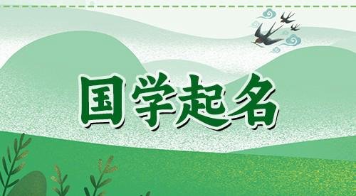 崔智佳-名字好么，可以有多少分数？