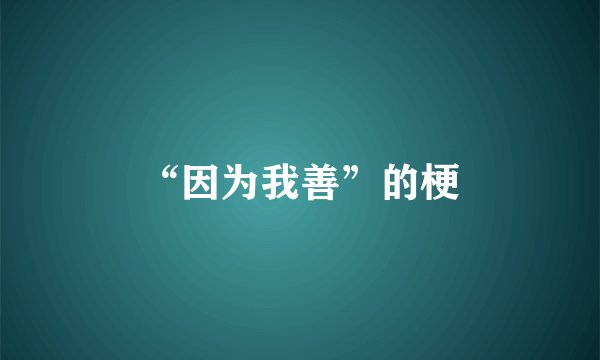 “因为我善”的梗