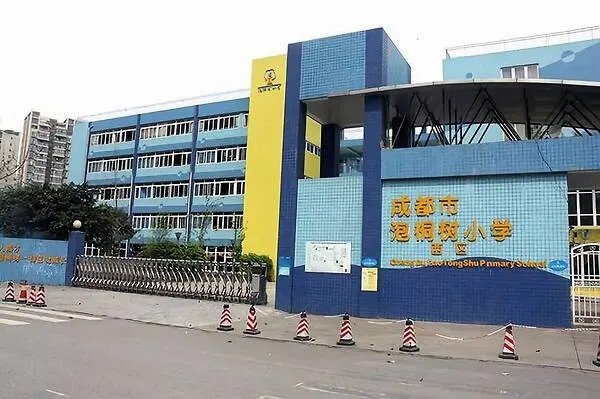 泡桐树小学西区和本部的关系