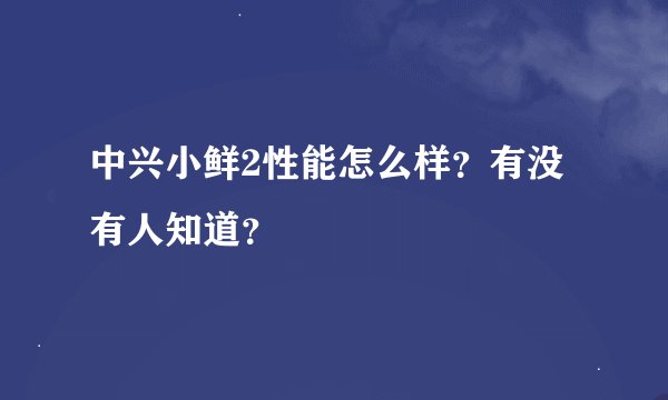 中兴小鲜2性能怎么样？有没有人知道？