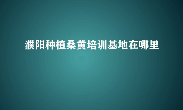 濮阳种植桑黄培训基地在哪里