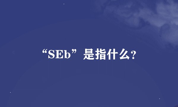 “SEb”是指什么？