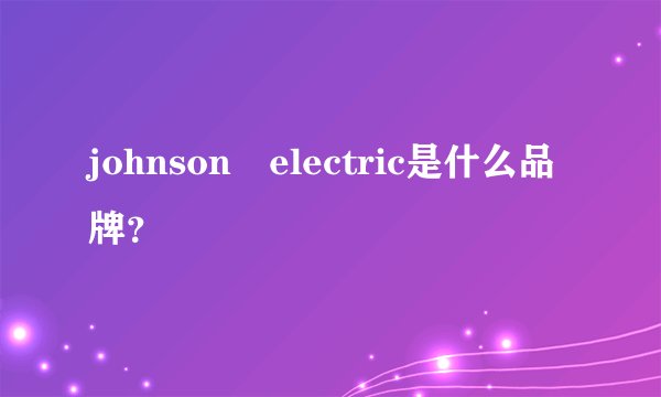 johnson electric是什么品牌？