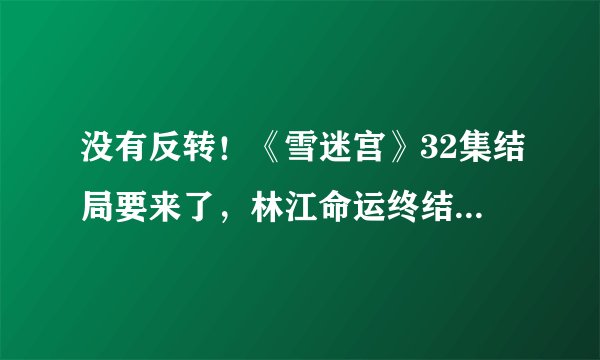 没有反转!《雪迷宫》32集结局要来了,林江命运终结,姜小海是小马哥