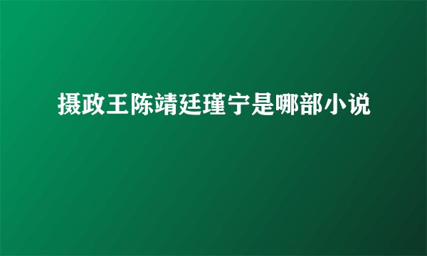摄政王陈靖廷瑾宁是哪部小说