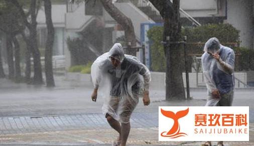 1号台风黄蜂生成路径图是怎么样的？