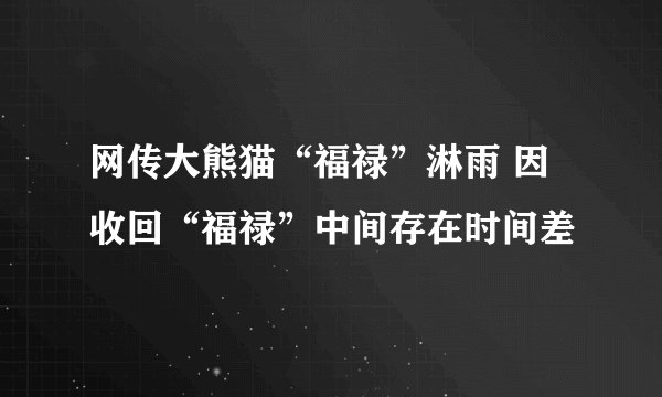 网传大熊猫“福禄”淋雨 因收回“福禄”中间存在时间差