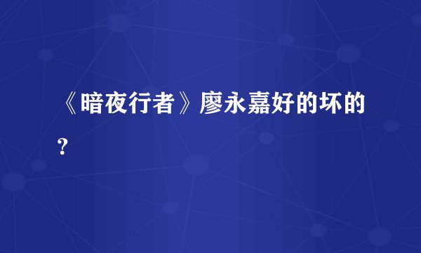 《暗夜行者》廖永嘉好的坏的？