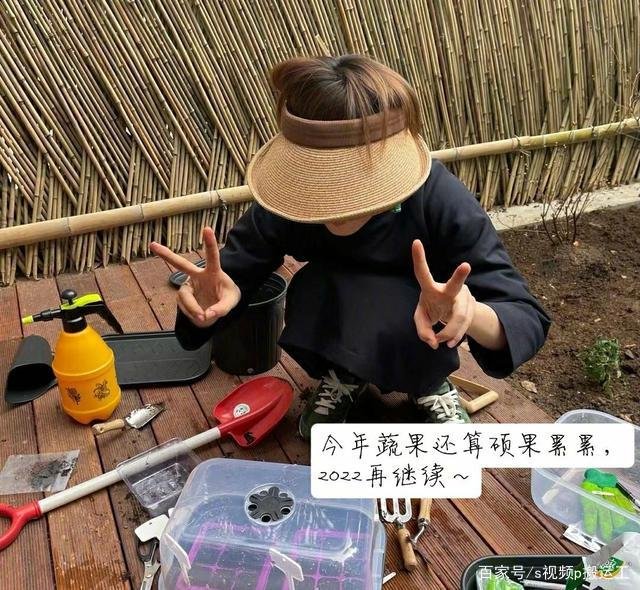 孙俪发千字长文告别2021,她具体说了些什么?