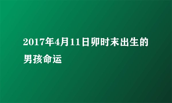 2017年4月11日卯时末出生的男孩命运