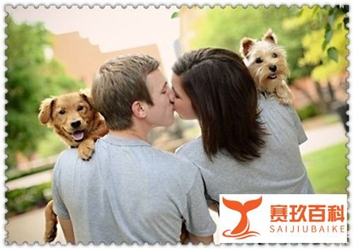 如何满足妻子的需求