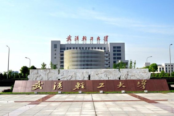 武汉轻工大学2023年录取分数线