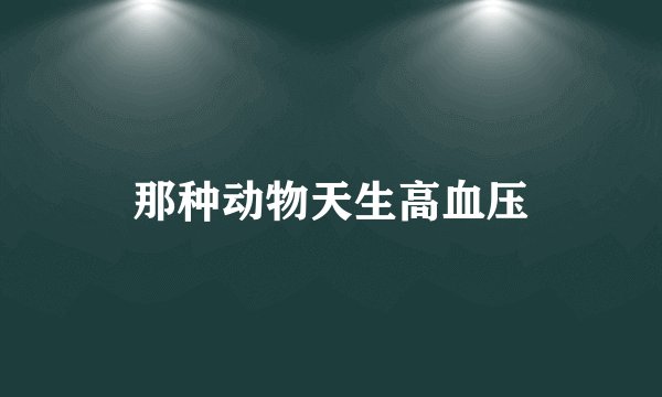 那种动物天生高血压