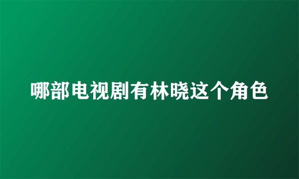 哪部电视剧有林晓这个角色