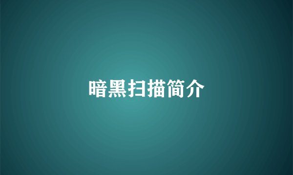 暗黑扫描简介