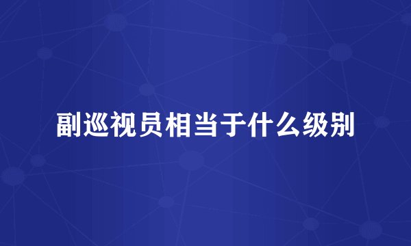 副巡视员相当于什么级别