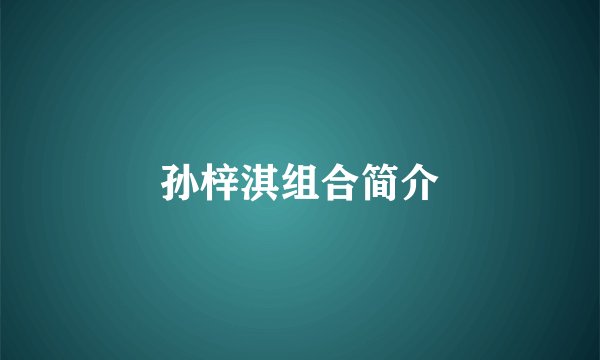 孙梓淇组合简介