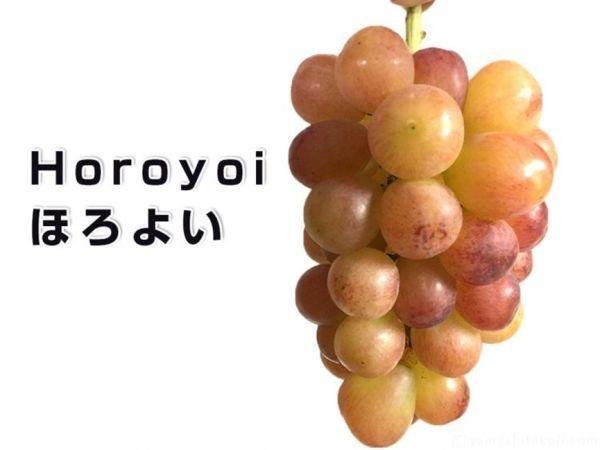 韩国果农偷日本葡萄品种后诡辩,如何看待此事?