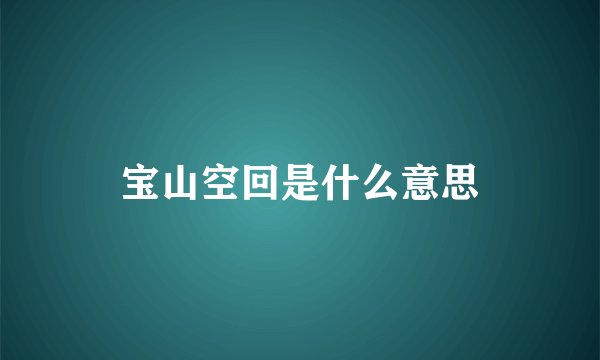 宝山空回是什么意思