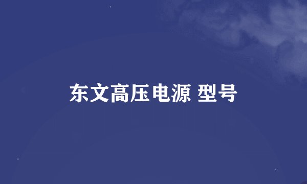 东文高压电源 型号