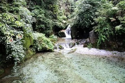 农夫山泉股价年内暴跌40%,暴跌的原因是什么?