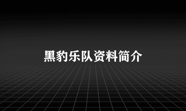 黑豹乐队资料简介