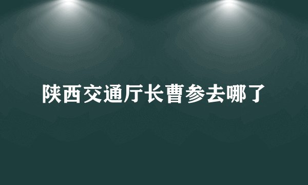 陕西交通厅长曹参去哪了