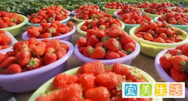 寻渔记丨美国一对父母崇尚素食只喂果蔬，18个月大的儿子被活活”饿死”