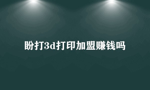 盼打3d打印加盟赚钱吗