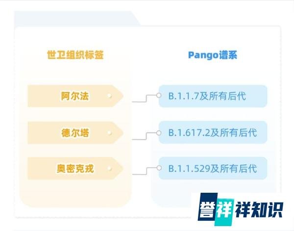 好懵啊!中疾控最新通报中那些新冠病毒变异毒株编号到底是什么