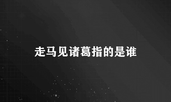 走马见诸葛指的是谁