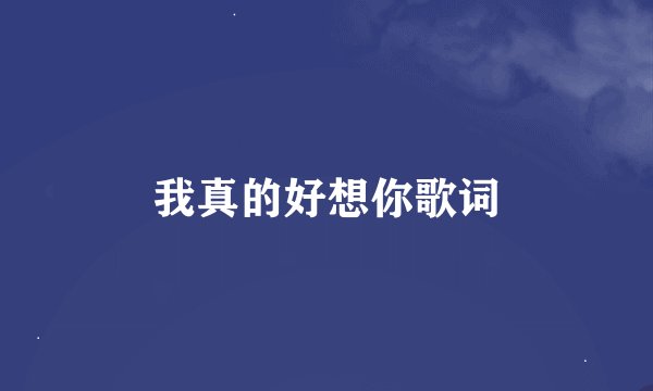 我真的好想你歌词
