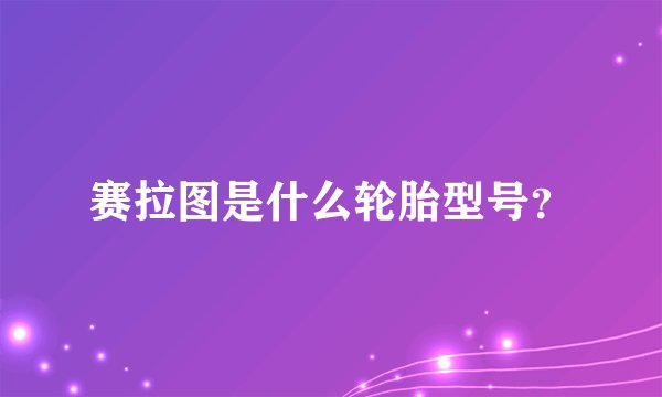 赛拉图是什么轮胎型号？