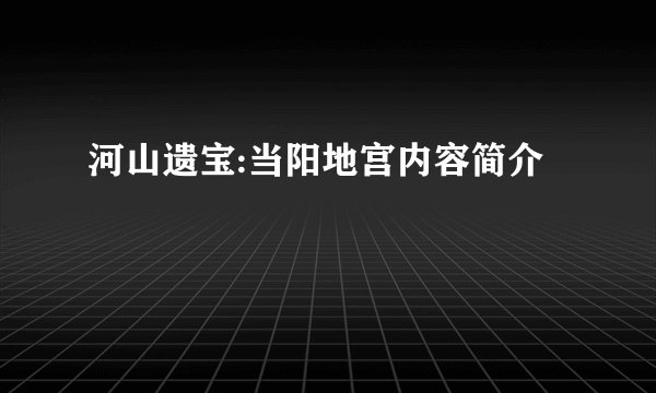 河山遗宝:当阳地宫内容简介