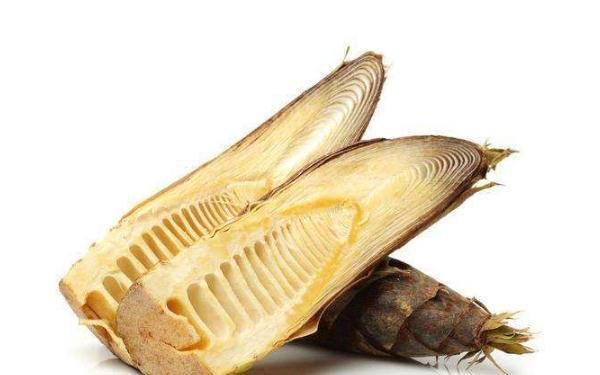 冬笋的功效和作用 冬笋每斤40元价格贵过肉