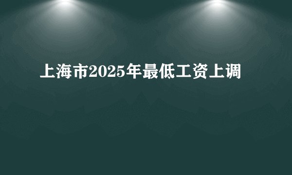 上海市2025年最低工资上调