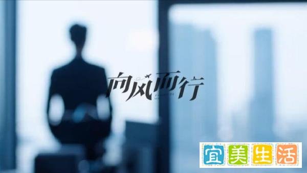 向风而行结局：顾南亭眼疾失首飞程霄接棒完成任务，三对情侣圆满