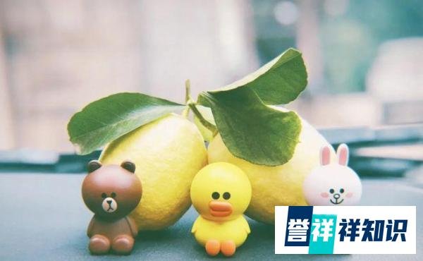 张学友模仿倪夏莲名场面？只要心怀热爱，永远都是当打之年