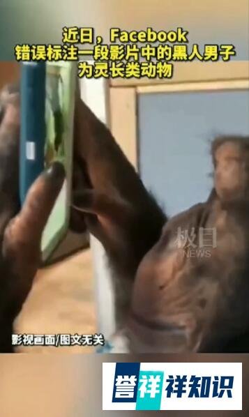 脸书将黑人标注为灵长类动物 这是咋情况？