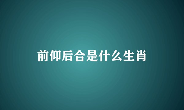 前仰后合是什么生肖