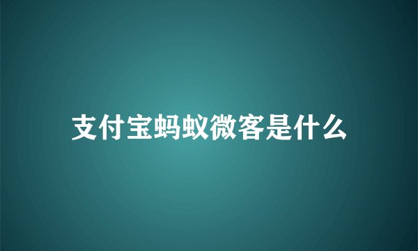 支付宝蚂蚁微客是什么
