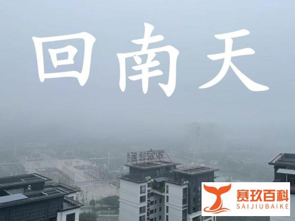 空气湿度99%有多狠？网友晒出“回南天”离谱状况，看薯片就懂了