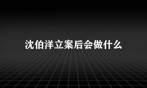 沈伯洋立案后会做什么